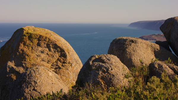 The Bluff by Denis Smith